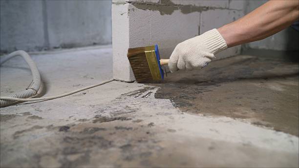 SJ Waterproofing Pros Basement Waterproofing coverage map for Greensboro, GA and surrounding area